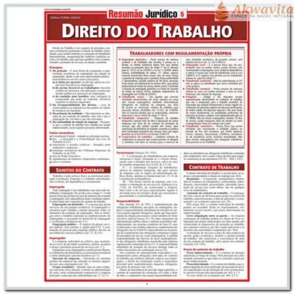 Resumão Sobre Direito do Trabalho Suas Novas Regras