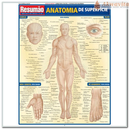 Resumão de Anatomia de Superfície Corpo Humano