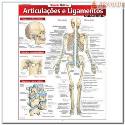Resumão de Articulações e Ligamentos Avançado