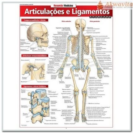 Resumão de Articulações e Ligamentos Avançado