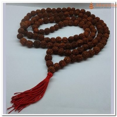 Japamala Rudraksha 108 ctas Entoar Mantras-N. Tempo