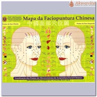 Mapa Acupuntura Faciopuntura Chinesa Enomóto - Sogo