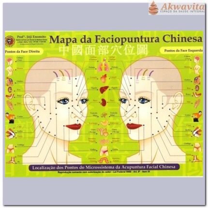 Mapa Acupuntura Faciopuntura Chinesa Enomóto