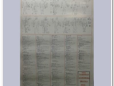 Mapa das Funções dos Pontos de Acupuntura Shiatsu Do-In