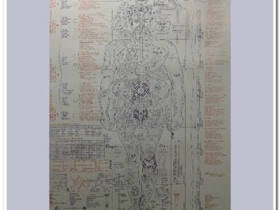 Mapa da Anatomia Oculta do Homem Estrutura Energética