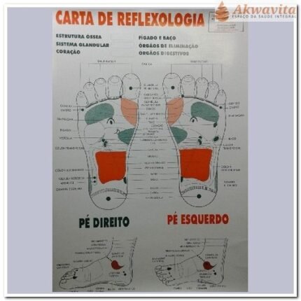 Mapa da Carta de Reflexologia dos Pés Prático e Ilustrado