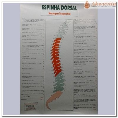 Mapa Espinha Dorsal Relação com Patologias Corporais- Carone