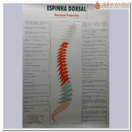 Mapa da Espinha Dorsal Sua Relação com Patologias Corporais