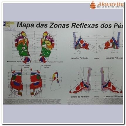 Mapa das Zonas reflexas dos pés Plantar Dorsal e Lateral