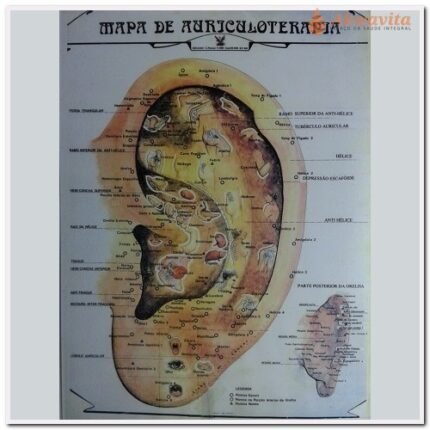 Mapa Acupuntura Auricular Chinesa Plastificado A3