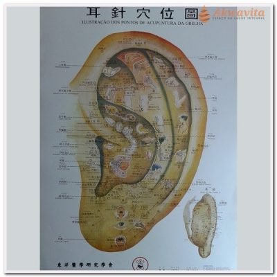 Poster dos Pontos de Auriculoterapia Coreana