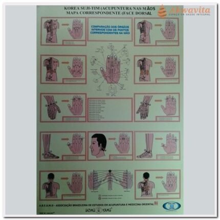 Mapa de Acupuntura nas Mãos Korea Suji Tim Face Dorsal