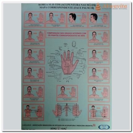 Mapa de Acupuntura nas Mãos Korea Suji Tim Face Palmar