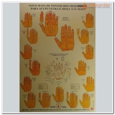 Mapa de Acupuntura nas Mãos Korea Suji Tim Face Dorsal