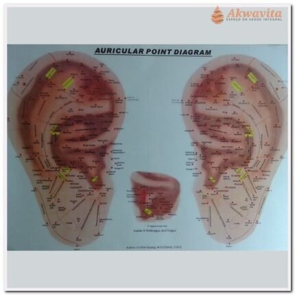 Mapa Auricular Chinesa Escola Huang Li Chun A3