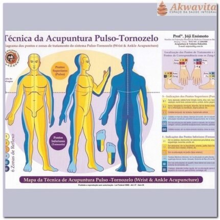 Mapa Acupuntura do Pulso-Tornozelo Enomóto