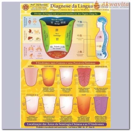 Mapa Acupuntura Diagnose da Língua Enomóto