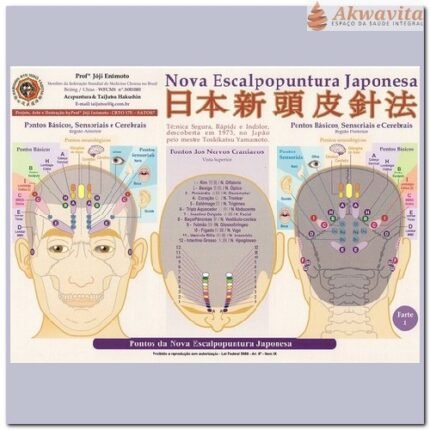 Mapa da Nova Escalpopuntura Japonesa Enomóto
