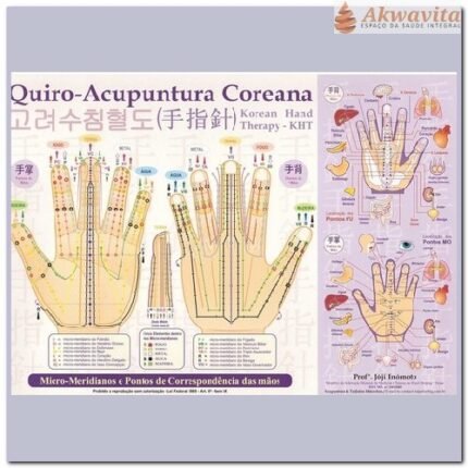 Mapa Quiro Acupuntura Coreana Enomóto