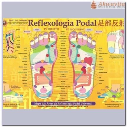 Mapa de Reflexologia Podal Enomóto Plastificado