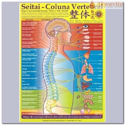 Mapa dos Pontos Seitai Coluna Vertebral Enomóto Plastificado