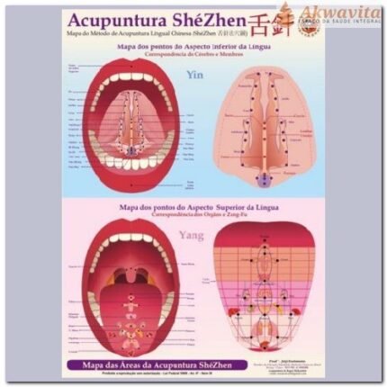 Mapa Acupuntura ShéZhen Pela Língua Enomóto