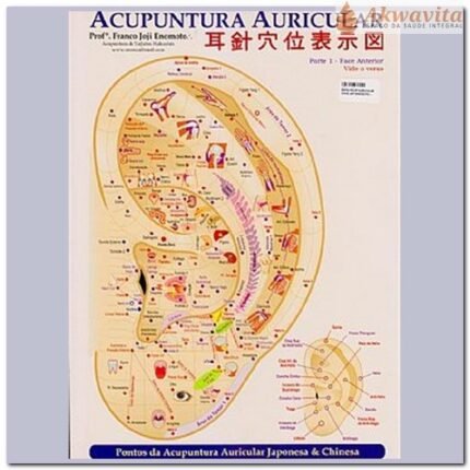 Mapa Acupuntura Auricular Japonesa e Chinesa Enomóto Plastificado