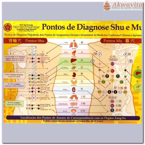 Mapa Pontos de Diagnose Shu e Mu Enomóto Plastificado