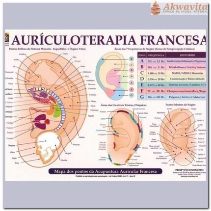 Mapa Acupuntura Auricular Linha Francesa Enomóto