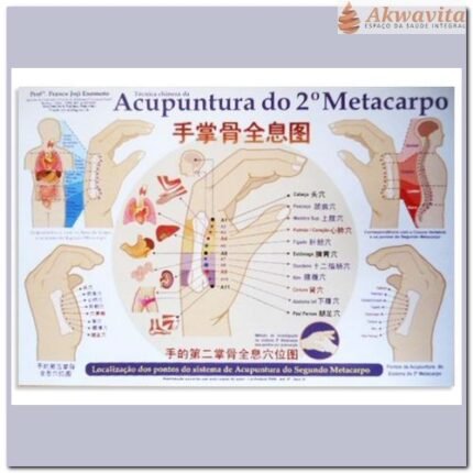 Mapa Acupuntura do Segundo Metacarpo Enomóto