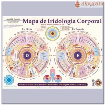 Mapa da Iridologia Corporal Enomóto Plastificado