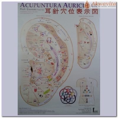 Pôster Acupuntura Auricular Japonesa e Chinesa Enomóto