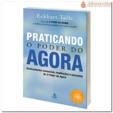 Praticando O Poder Do Agora Aprenda a Viver no Hoje