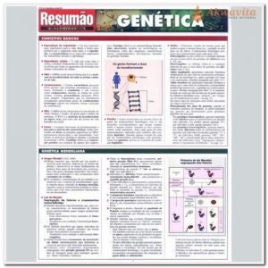 Resumão dos Conceitos Básicos da Genética DNA RNA