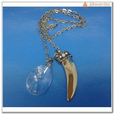 Colar Pedra cristal e Dente Transparente e Límpido Energia-Lj
