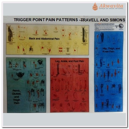 Mapa Trigger Point Pain Patterns Travell and Simons