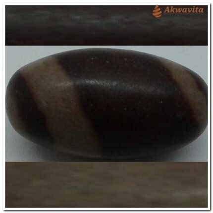 Pedra Shiva Lingam Vitalidade com Energia Prânica Rolada 1-2cm