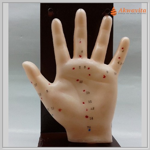 Modelo Humano com Pontos de Acupuntura mão
