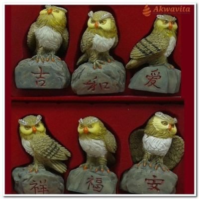 Kit Coruja Em Resina Com Ideogramas Diversos 6UN