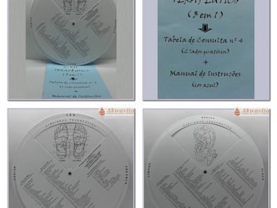 Tabela 4ª Microssistemas Consulta Terapêutica MTC Manual Azul