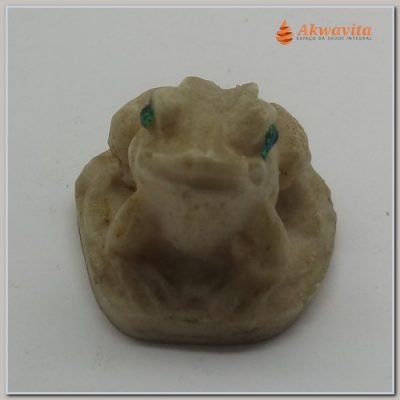 Sapo Branco Renovação da Vida em Resina de Olhos Verdes