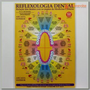 Mapa de Reflexologia Dental na Medicina Chinesa Enomóto