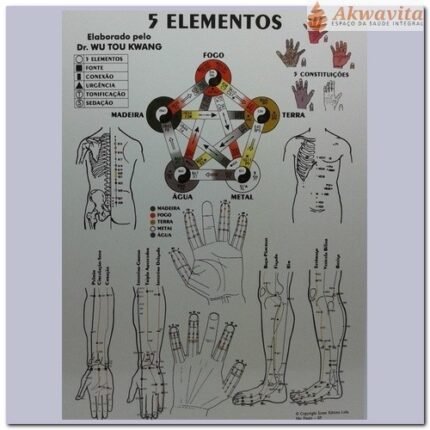 Mapa dos 5 Elementos Pontos Shu Antigos A4