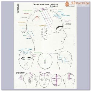 Mapa de Craniopuntura Chinesa e Japonesa Dr Wu Plastificado
