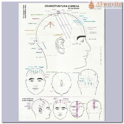 Mapa de Craniopuntura Chinesa e Japonesa Dr Wu - Sogo