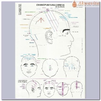 Mapa de Craniopuntura Chinesa e Japonesa Dr Wu Plastificado