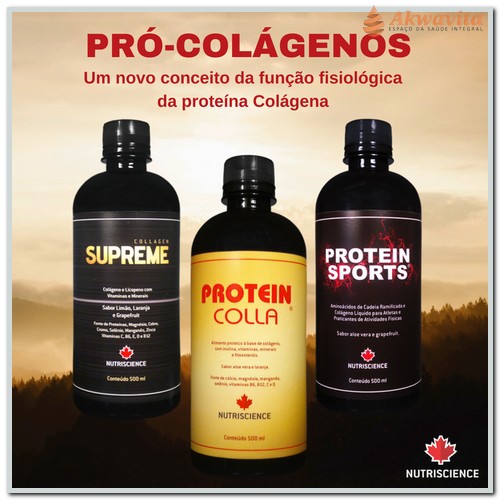 Collagen Supreme Associação Seletiva de Colágeno 500ml