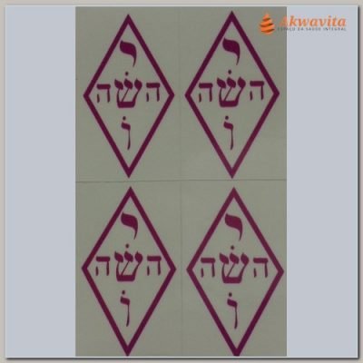 Adesivo Yoshua Médio 30x50mm 16 unidades