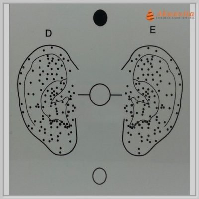 Auriculoterapia Gráfico Radiônico de PVC Adesivo 16cm
