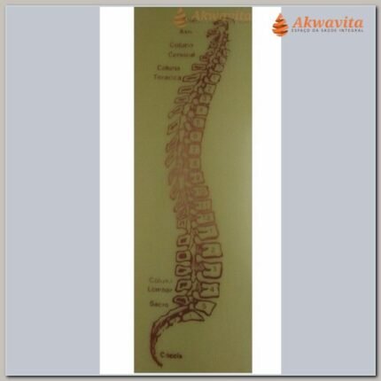 Coluna Vertebral Gráfico Radiônico de Cobre Fenolite 11X27cm